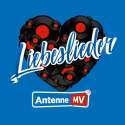 Antenne Mv Liebeslieder logo