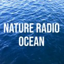 NATURE RADIO OCEAN logo