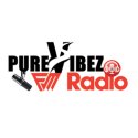 Pure Vibez Fm Radio logo