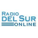 Radio Del Sur Online logo