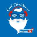 Antenne Mv Cool Christmas logo